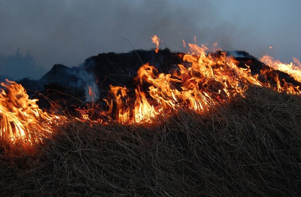 FOTO, VIDEO: Ponovo gorelo na više lokacija u okolini Novog Sada, apel na građane da ne pale vatru