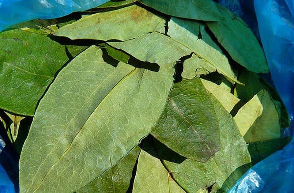 Podaci demantuju Trampa: Najviše kokaina u SAD ne dolazi iz Venecuele