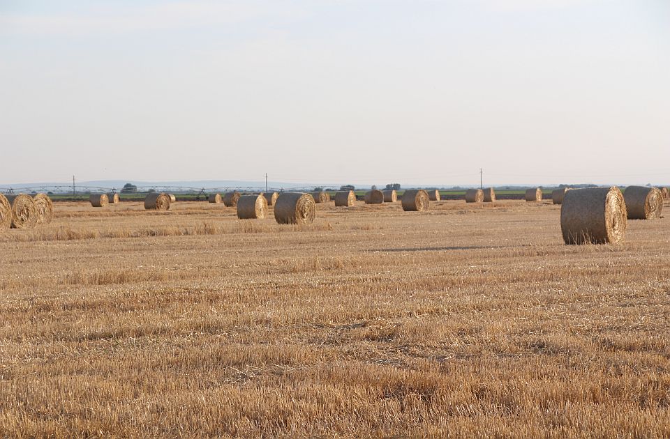 Zbog čega se Vojvodina od "Žitnice Evrope" lagano pretvara u agrarnu pustinju?