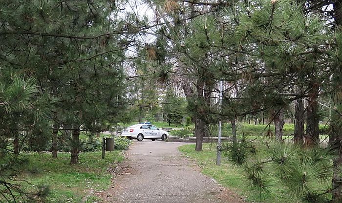 Nove mere u Novom Sadu: Besplatan parking, zabranjen odlazak u park, upravnici zgrada da organizuju dostavu robe starima