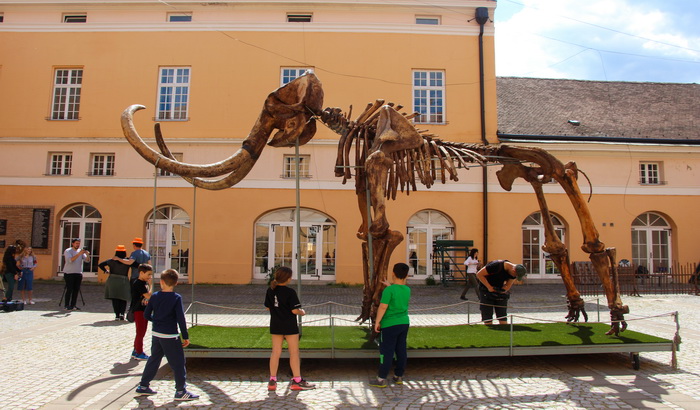 Turistički biseri Vojvodine (3): Kikinda - Grad sova, mamutice Kike i najlepše ulice u Evropi