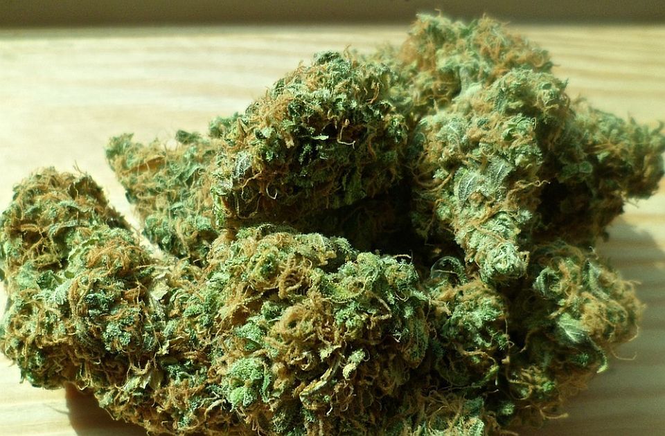Istraga zbog šverca marihuane u Srbiju proširena na još sedam osoba u Severnoj Makedoniji