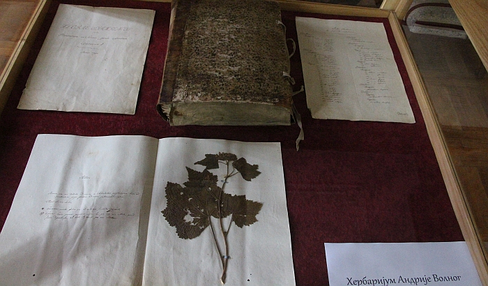 Digitalizovana polovina herbarijuma Andrije Volnog