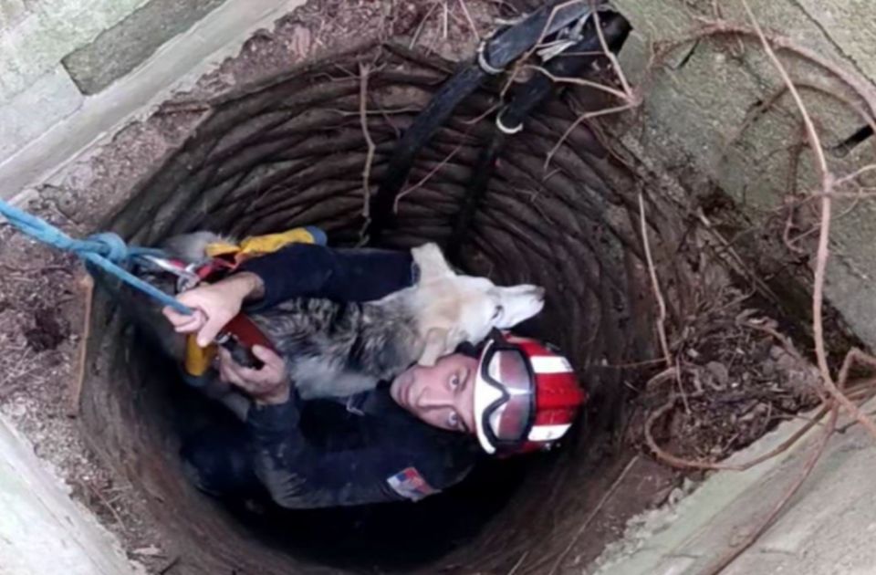 FOTO: Vatrogasci spasili štene koje je kod Velikog Gradišta upalo u bunar dubok 15 metara