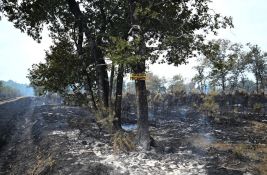 Zaustavljeno širenje velikog šumskog požara u Francuskoj