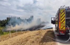 VIDEO: Ponovo gori nisko rastinje u Petrovaradinu - drugi put u manje od 24 sata