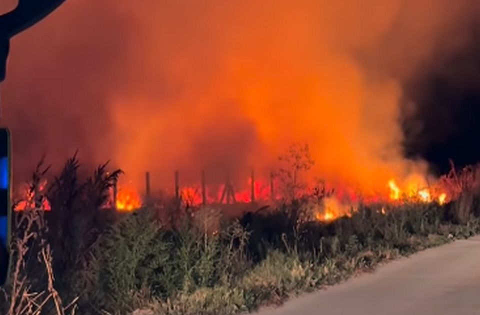 VIDEO: Izgorelo oko 2.000 kvadrata niskog rastinja u Petrovaradinu - drugi požar u manje od 12 sati