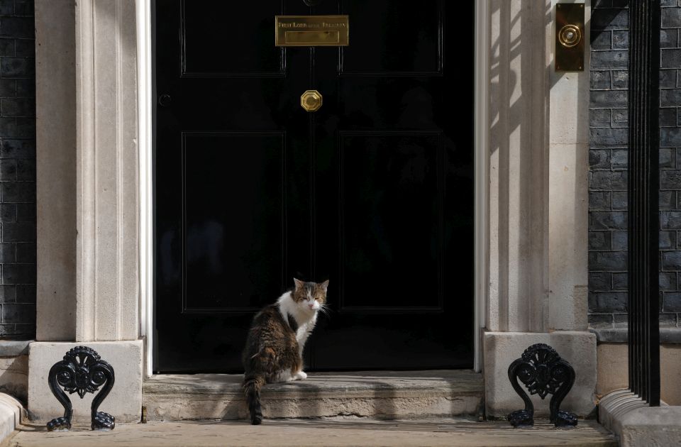  Pas novog britanskog premijera 