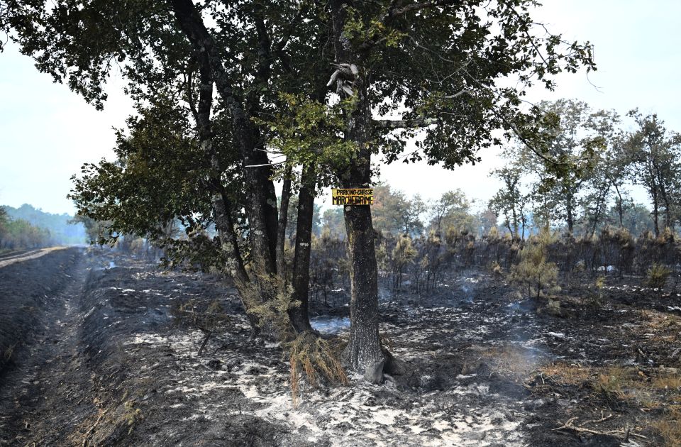 Zaustavljeno širenje velikog šumskog požara u Francuskoj