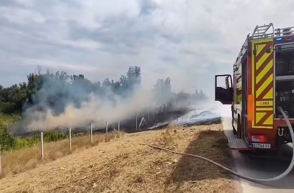 VIDEO: Ponovo gori nisko rastinje u Petrovaradinu - drugi put u manje od 24 sata