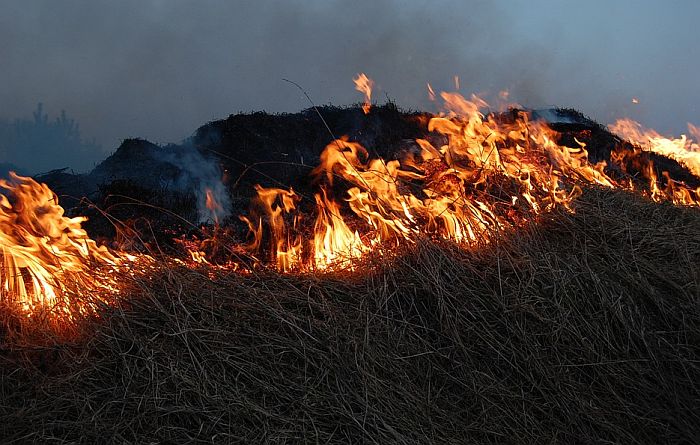 Trivan: Građani, ne palite strnjiku