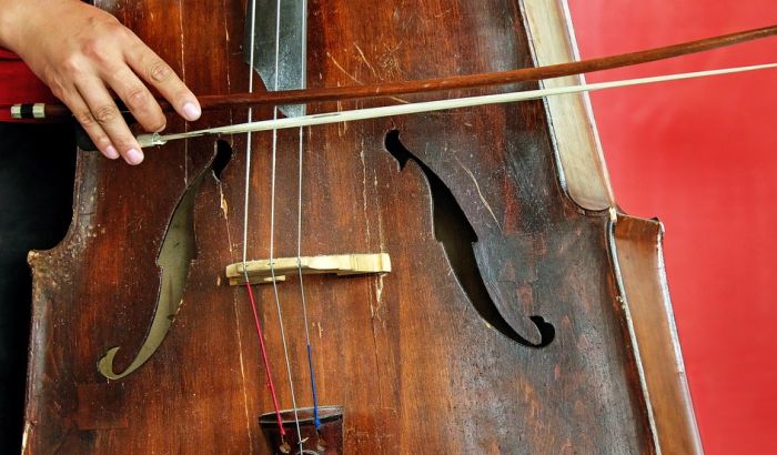 Vraćeno ukradeno violončelo od milion evra