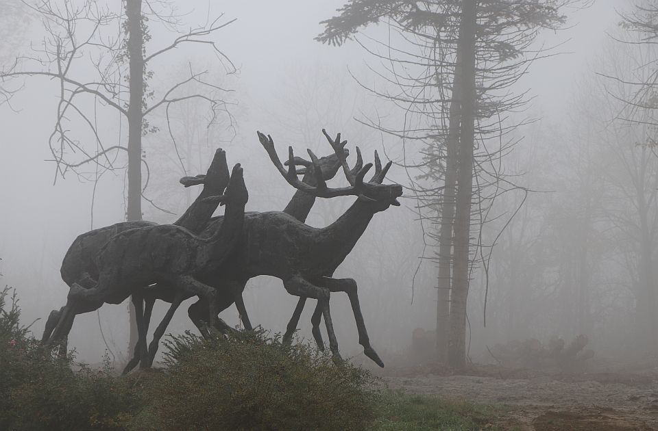 Magla i tokom vikenda u Novom Sadu, od ponedeljka vedrije