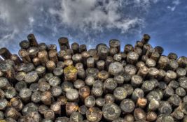 U Srbiji prošle godine posečeno 3,3 miliona kubika drva, najviše za grejanje
