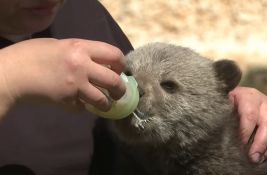 VIDEO: U dvorište porodice kod Plitvica ušetao mali meda, pa ga privremeno usvojili