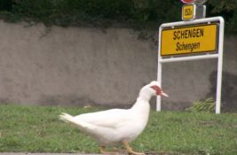 Daj šta daš: Kad već ne možemo (skoro) u EU, predlog da Srbija čim pre pristupi Šengenu - ostvarivo?