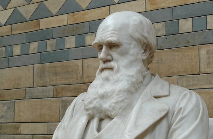 Norveški bogataš daje 1,6 miliona dolara da pobije Darvinovu teoriju