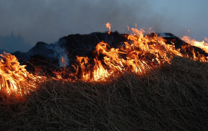 Nedimović: Preko satelita ćemo pronaći one koji pale njive