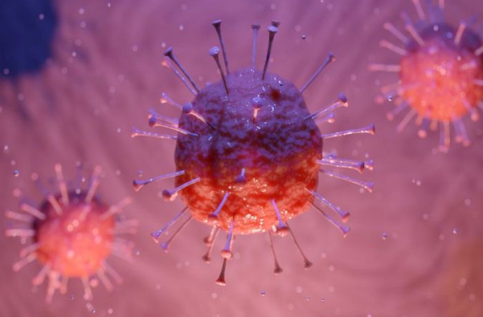 Istraživanje: SARS-CoV-2 može da uđe u ćelije i izazove infekciju
