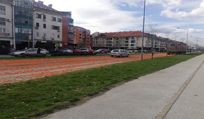VIDEO, FOTO: Gomila šargarepa se prosula po Bulevaru kneza Miloša, ispale iz kamiona