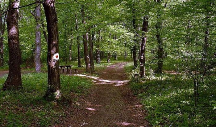 U nedelju pešačenje nemarkiranim stazama Fruške gore