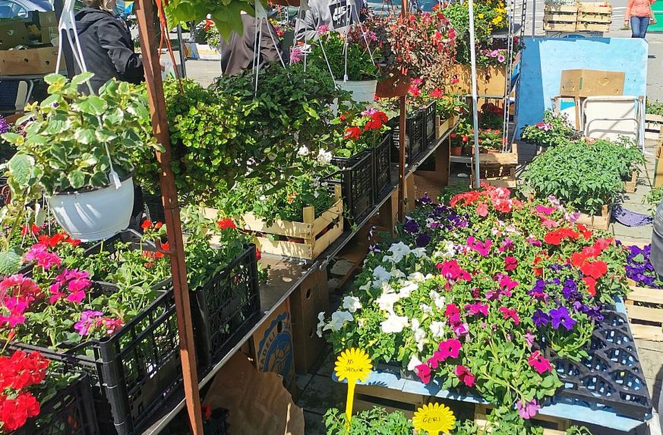 Letnji market danas na platou ispred Spensa