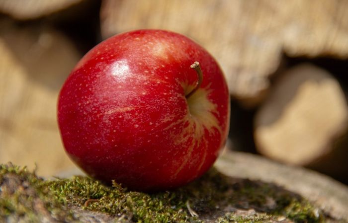 Crvene jabuke polako nestaju