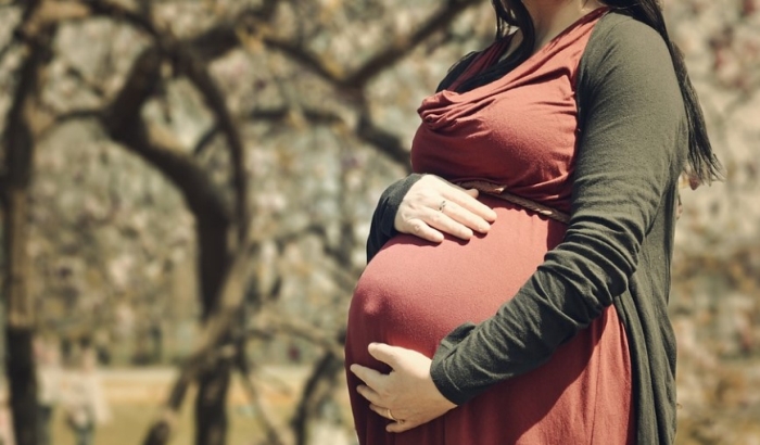 Slovačka odbacila predlog da žene moraju da čuju otkucaj srca fetusa i imaju dozvolu oca za abortus
