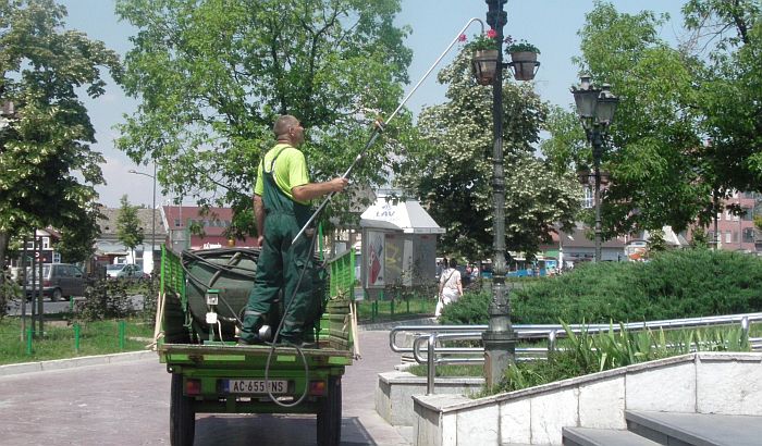 Počinje sadnja cveća širom Novog Sada