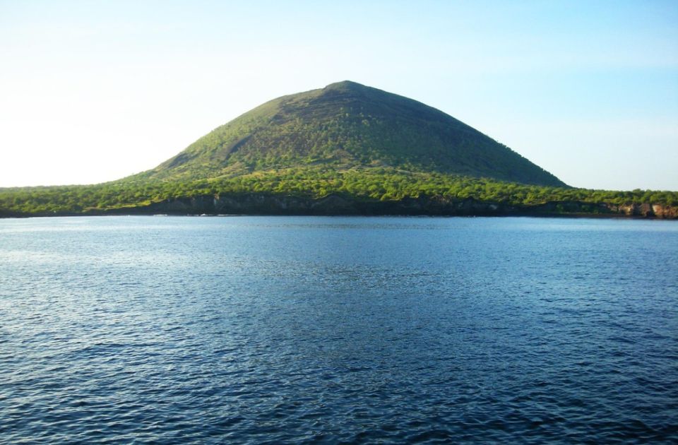 Poslednji put ju je video Darvin: Na Galapagosu se posle 200 godina pojavila ptica koja je smatrana izumrlom