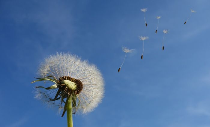 Nedelja pred nama sunčana, topla i vetrovita