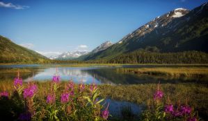   Aljaska oborila temperaturni rekord, 32 stepena Celzijusa
