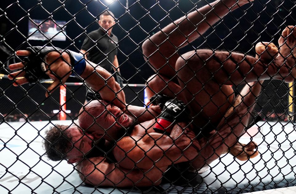 Borbe u kavezu stižu u Belu kuću