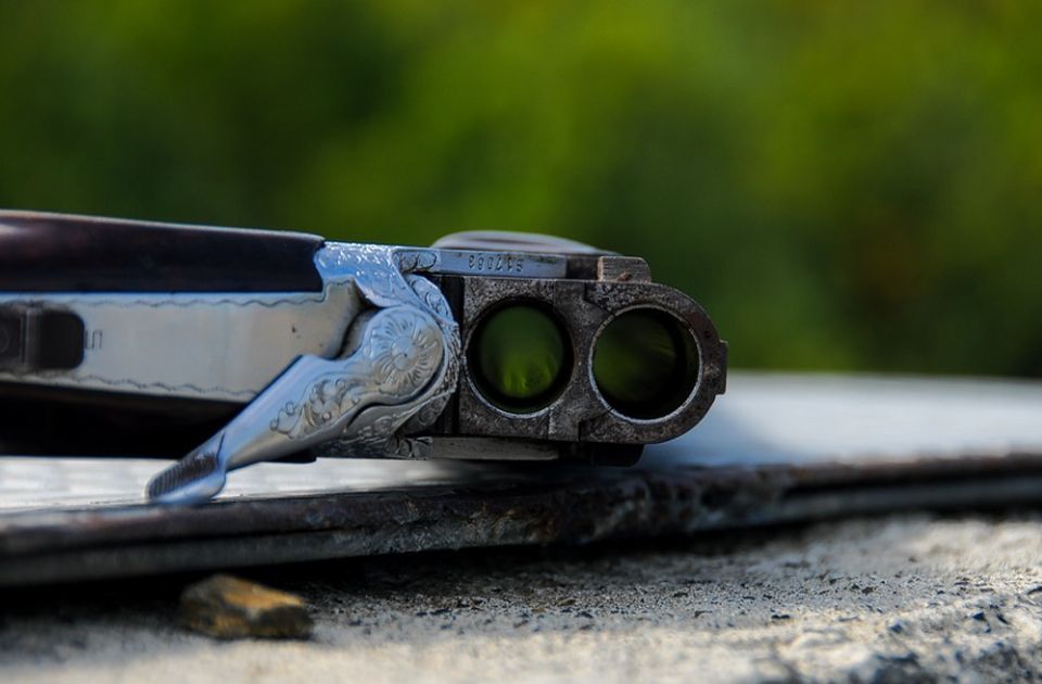 Objavljen cenovnik odstrela divljači u Srbiji: Nešto košta samo jedan dinar, a nešto je i besplatno