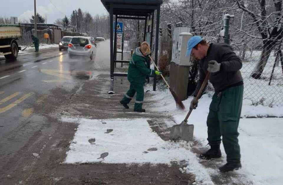 Sve novosadske zimske službe na terenu i u pripravnosti: Posuta so, putevi prohodni