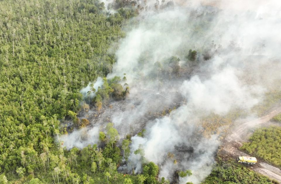 U Indoneziji uhapšene 72 osobe zbog izazivanja požara