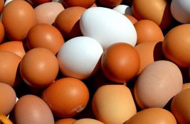Srbija izvezla prve količine svežih jaja u Albaniju