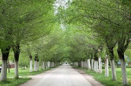 U Belom Blatu kod Zrenjanina na 80 odsto ulica i dalje kaldrma