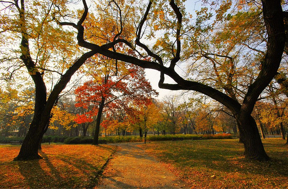 Vetrovita, ali i povremeno sunčana sreda u Novom Sadu - evo šta vas očekuje