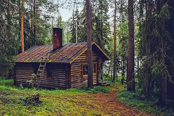 Gradnja ilegalnih vikendica na Uvcu nauštrb prirode