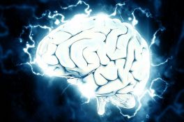 Naučnici preveli moždane talase u govor