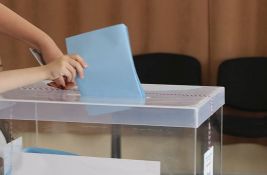 Da li je dijaspora spremna za izbore?
