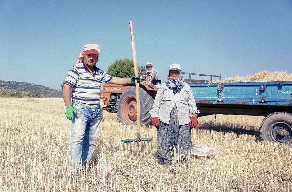  Poljoprivredni radnici u Italiji dižu glas protiv izrabljivanja