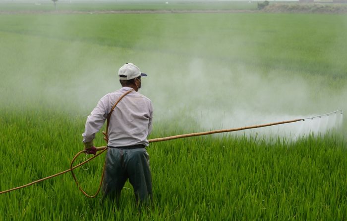 SZO: Zabrana pesticida na Šri Lanki smanjila broj samoubistava za 70 odsto