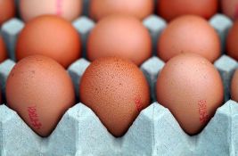 Naša jaja i dalje ne mogu u EU - nismo usklađeni sa evropskim standardima