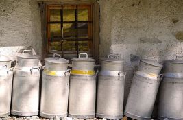 Sve više Amerikanaca pije sirovo mleko - uprkos epidemijama i upozorenjima naučnika