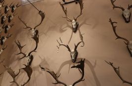 Pokrajina za razvoj lovstva u Vojvodini daje 131,7 miliona dinara: U toku konkurs