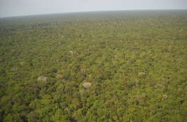 Usporava se nestajanje prašuma