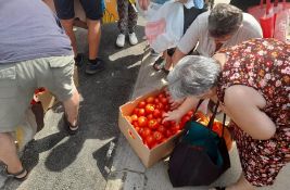 Nezadovoljni poljoprivrednici besplatno delili paradajz, traže da se spreči uvoz