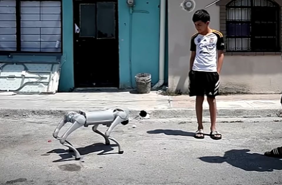 VIDEO: Meksički grad uz pomoć psa-robota želi da podigne svest o pravima životinja
